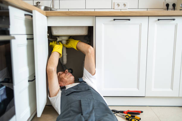 Best Plumbing Services Near Me  in The Acreage, FL